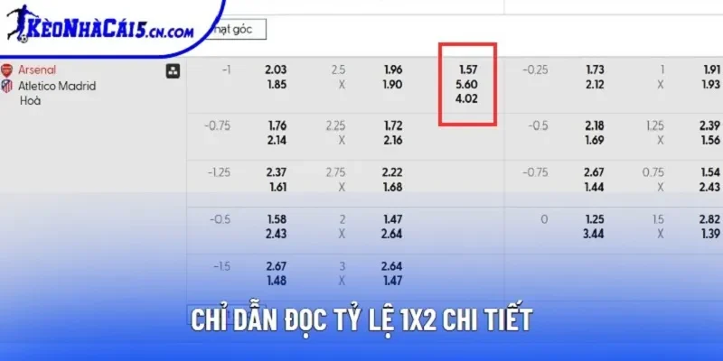 Chỉ dẫn đọc tỷ lệ 1x2 chi tiết