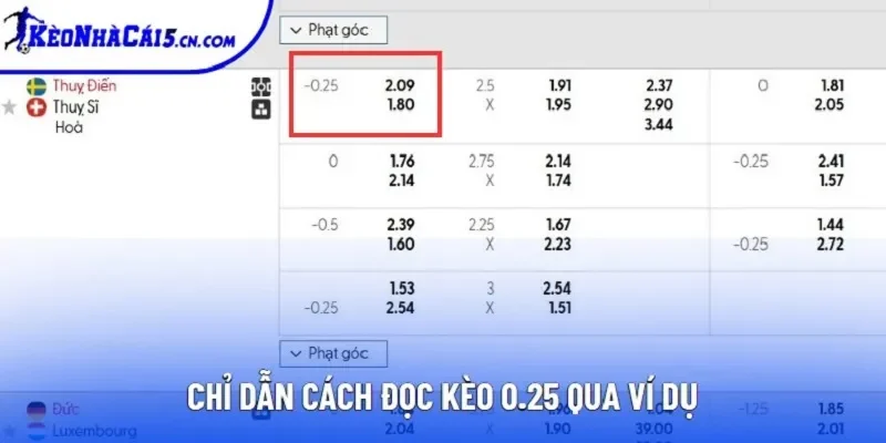 Chỉ dẫn cách đọc kèo 0.25 qua ví dụ